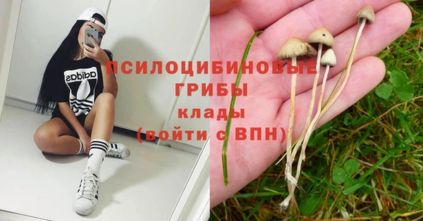 мескалин Балахна